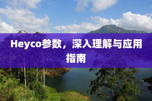 Heyco参数，深入理解与应用指南