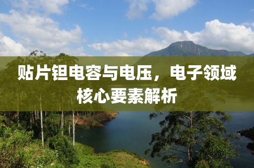贴片钽电容与电压，电子领域核心要素解析