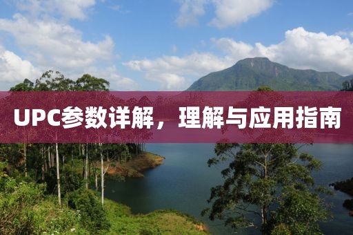 UPC参数详解，理解与应用指南