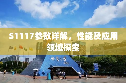 S1117参数详解，性能及应用领域探索