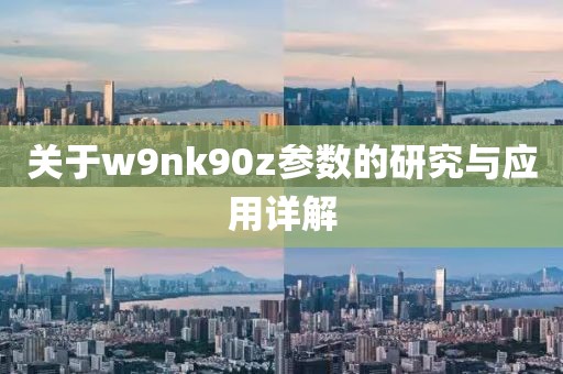 关于w9nk90z参数的研究与应用详解