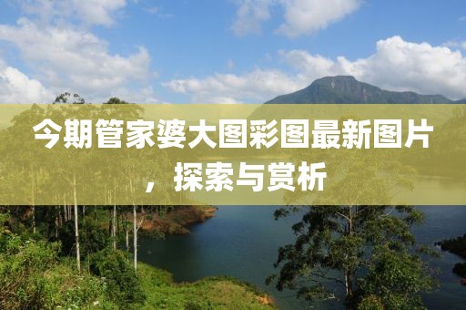今期管家婆大图彩图最新图片，探索与赏析