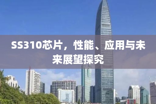 SS310芯片，性能、应用与未来展望探究