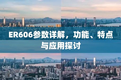ER606参数详解，功能、特点与应用探讨