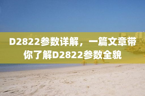 D2822参数详解，一篇文章带你了解D2822参数全貌