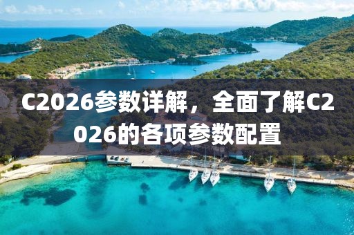 C2026参数详解，全面了解C2026的各项参数配置