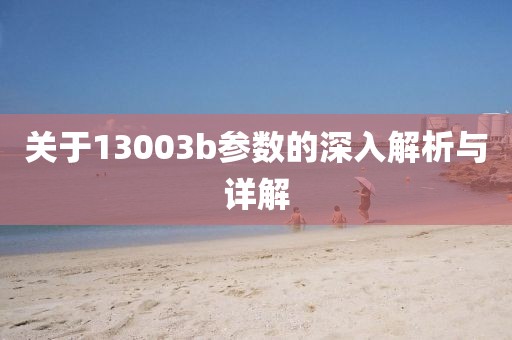关于13003b参数的深入解析与详解
