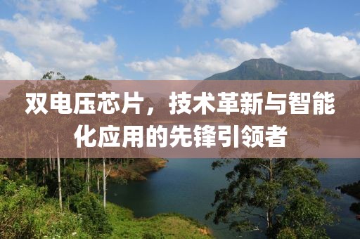双电压芯片，技术革新与智能化应用的先锋引领者