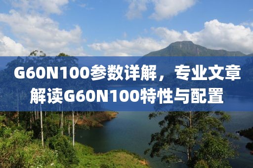 G60N100参数详解，专业文章解读G60N100特性与配置
