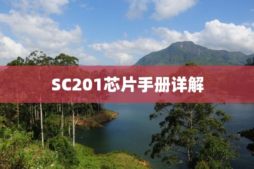 SC201芯片手册详解