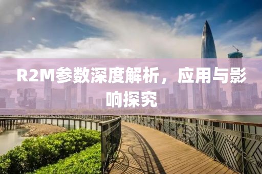 R2M参数深度解析，应用与影响探究