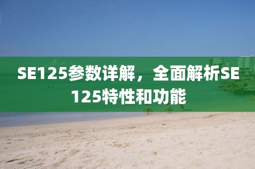 SE125参数详解，全面解析SE125特性和功能