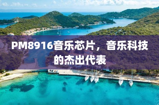 PM8916音乐芯片，音乐科技的杰出代表