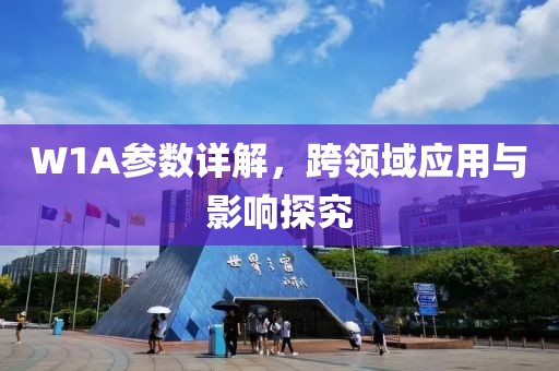 W1A参数详解，跨领域应用与影响探究