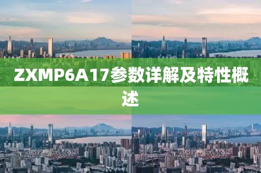ZXMP6A17参数详解及特性概述