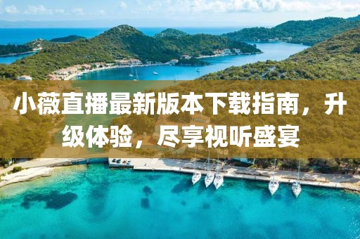 小薇直播最新版本下载指南，升级体验，尽享视听盛宴