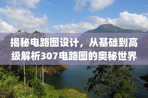 揭秘电路图设计，从基础到高级解析307电路图的奥秘世界