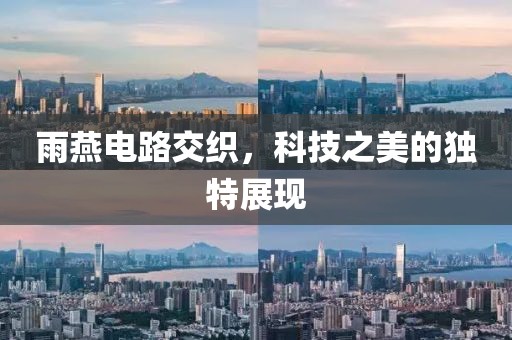 雨燕电路交织，科技之美的独特展现