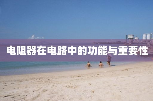 电阻器在电路中的功能与重要性