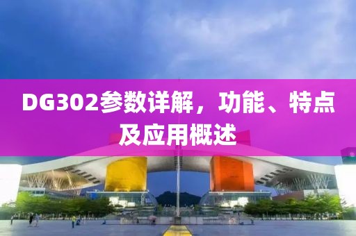 DG302参数详解，功能、特点及应用概述
