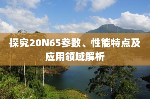 探究20N65参数、性能特点及应用领域解析