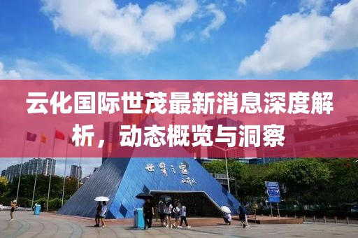 云化国际世茂最新消息深度解析，动态概览与洞察