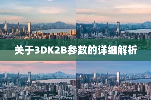 关于3DK2B参数的详细解析
