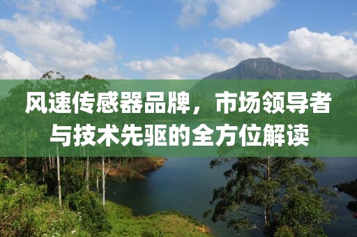 风速传感器品牌，市场领导者与技术先驱的全方位解读