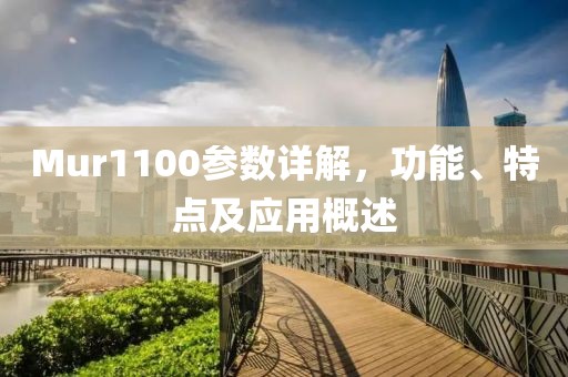 Mur1100参数详解，功能、特点及应用概述
