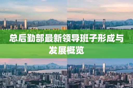 总后勤部最新领导班子形成与发展概览