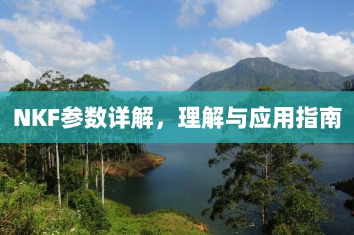 NKF参数详解，理解与应用指南