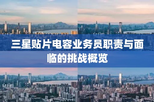 三星贴片电容业务员职责与面临的挑战概览