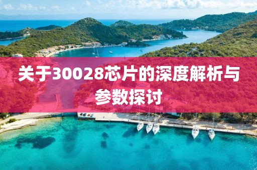 关于30028芯片的深度解析与参数探讨