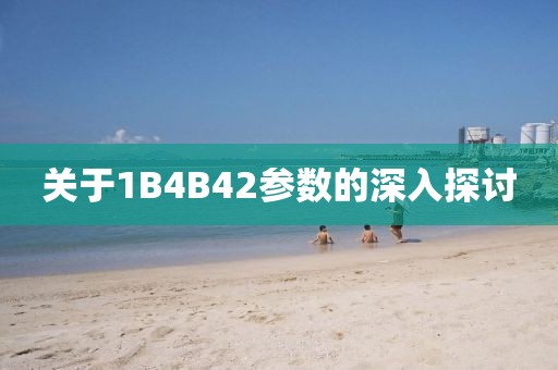关于1B4B42参数的深入探讨