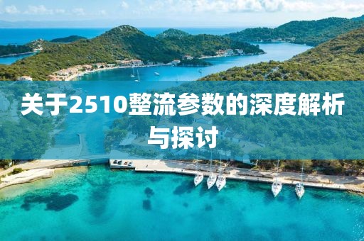关于2510整流参数的深度解析与探讨