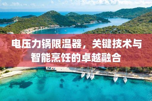 电压力锅限温器，关键技术与智能烹饪的卓越融合