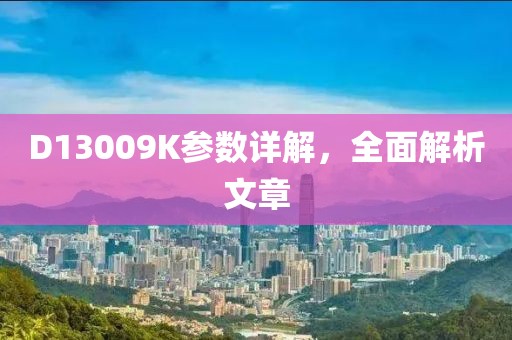 D13009K参数详解，全面解析文章