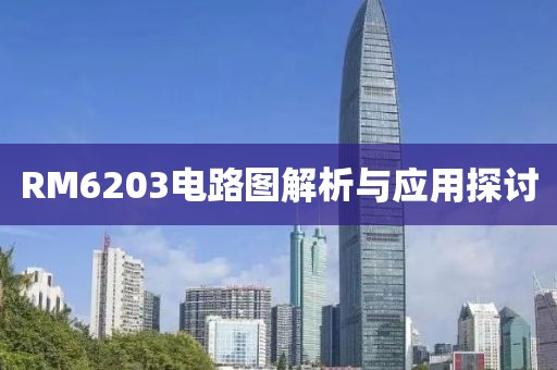 RM6203电路图解析与应用探讨