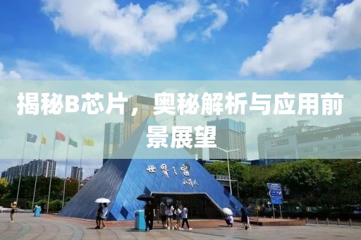 揭秘B芯片，奥秘解析与应用前景展望
