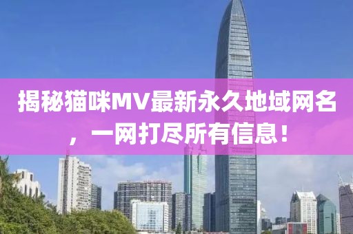 揭秘猫咪MV最新永久地域网名，一网打尽所有信息！
