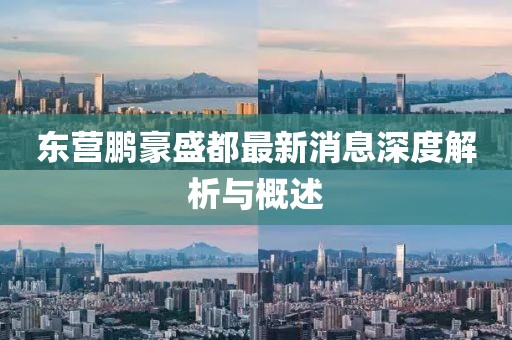 东营鹏豪盛都最新消息深度解析与概述