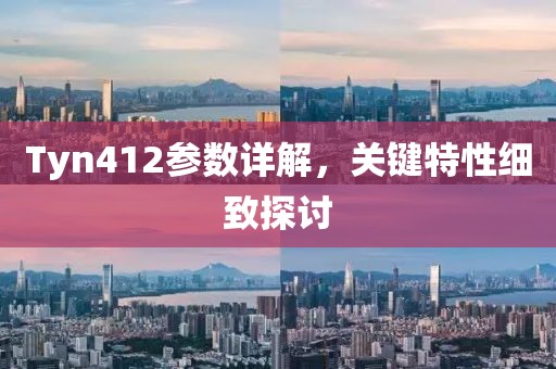 Tyn412参数详解，关键特性细致探讨