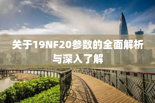 关于19NF20参数的全面解析与深入了解