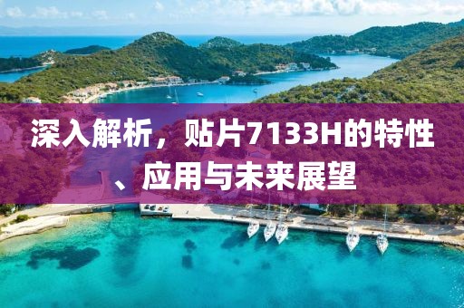 深入解析，贴片7133H的特性、应用与未来展望