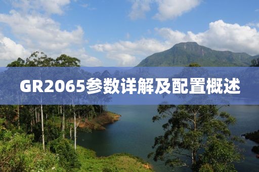 GR2065参数详解及配置概述