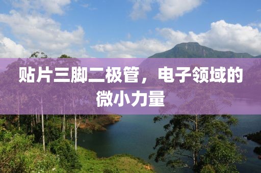 贴片三脚二极管，电子领域的微小力量