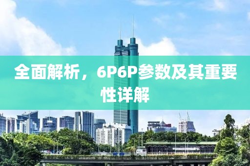 全面解析，6P6P参数及其重要性详解