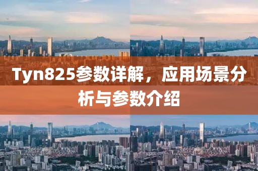 Tyn825参数详解，应用场景分析与参数介绍