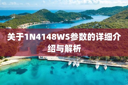 关于1N4148WS参数的详细介绍与解析