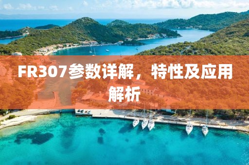 FR307参数详解，特性及应用解析